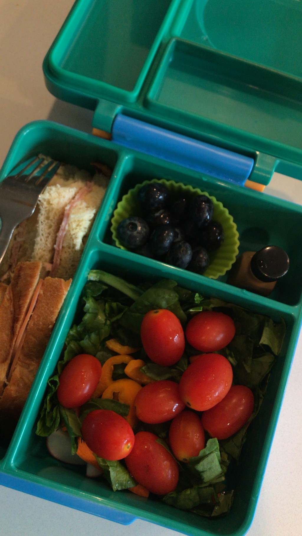 Homemade School Lunches: 3 Easy Tips (to keep you from giving up!)