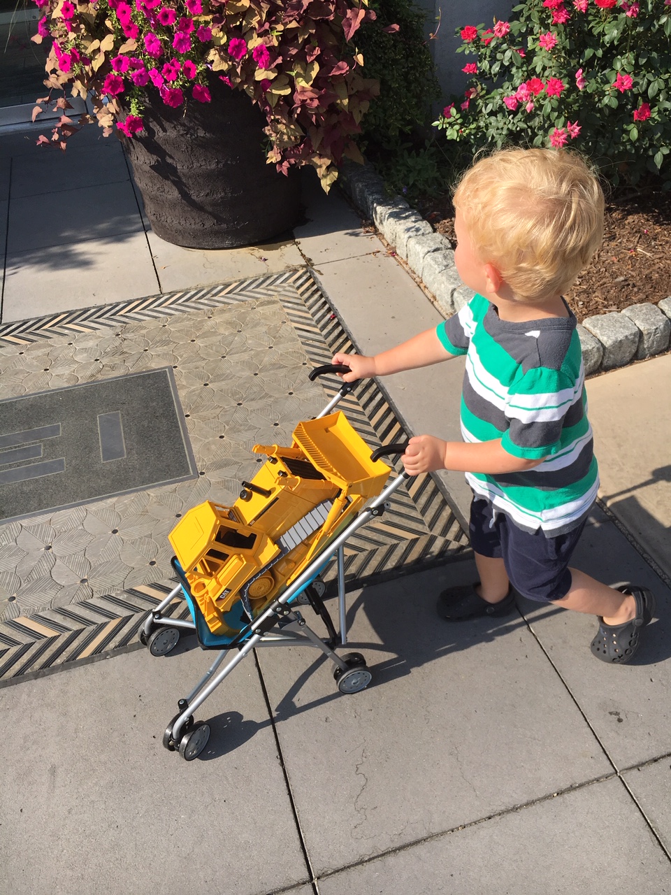 A toddler age boy pushes his bright yellow bulldozer in a toy stroller as he walks through the Pike and Rose neighborhood.