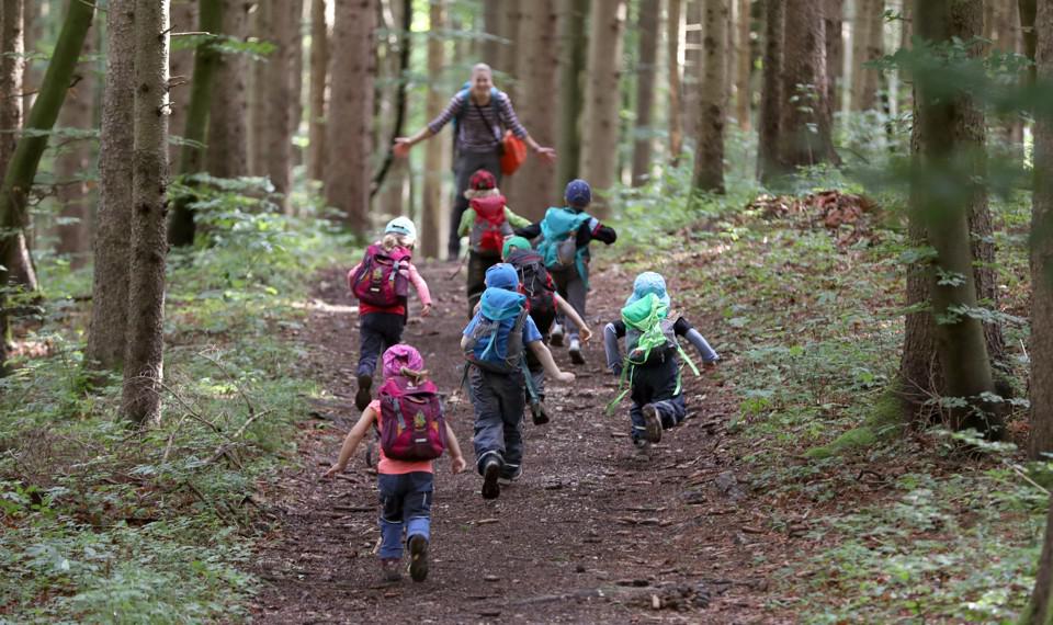 Playing in the forest is great for kids, but Lyme disease is a risk