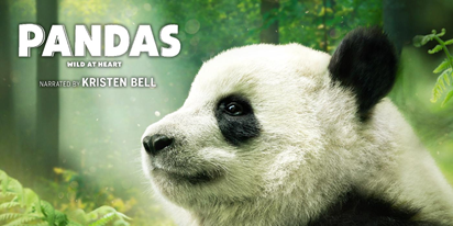panda movie