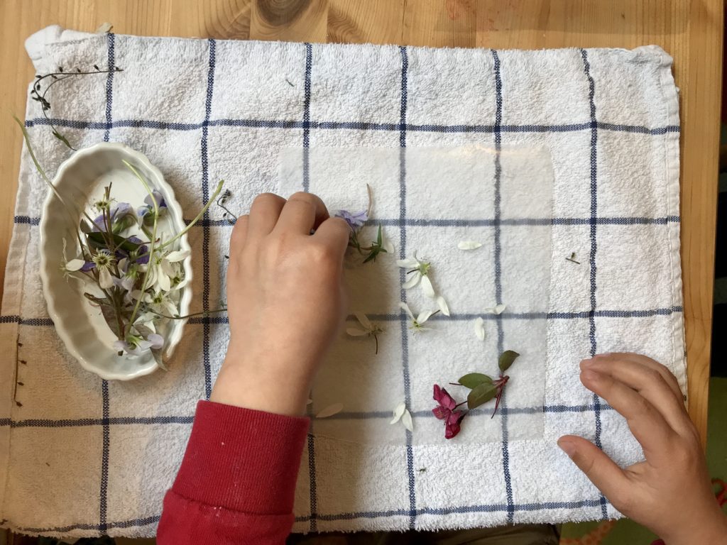 Kids will love aranging flowers in interesting paterns on wax paper