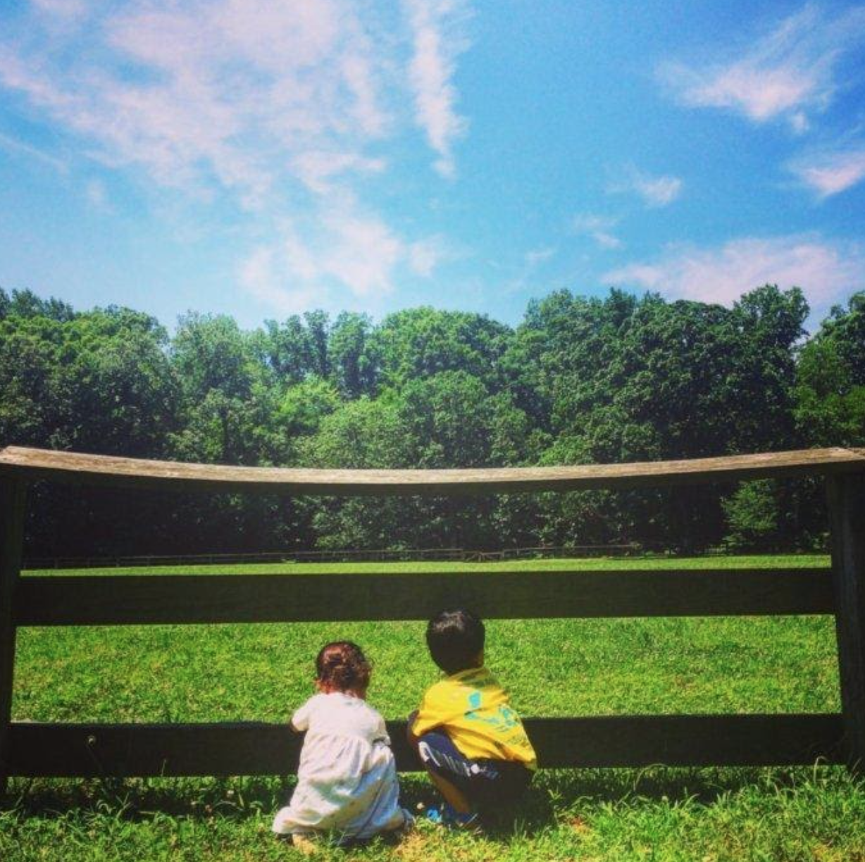 Two children look through a fence into a forest.