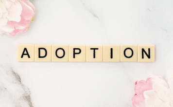 10 things to consider before beginning adoption journey