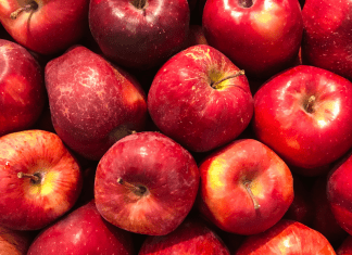 apple picking guide in the DC Area